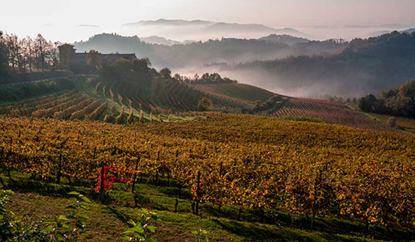 Panorama sul Monferrato