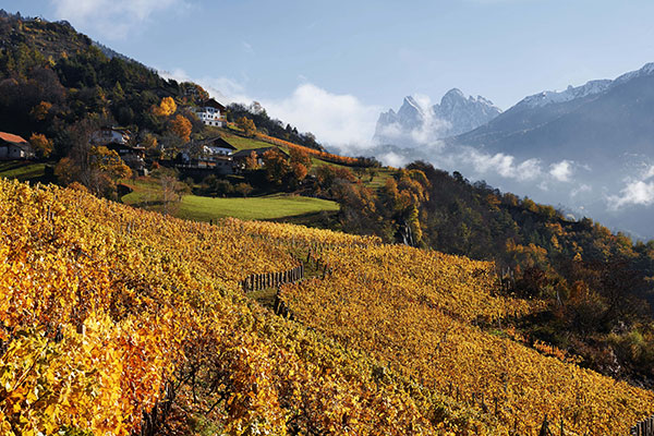 Cantina Valle Isarco