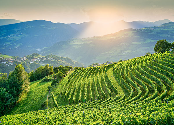 Cantina Valle Isarco