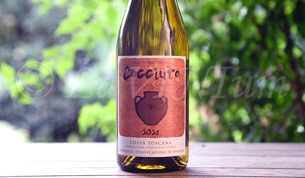 Cocciuto 2021 Fontuccia