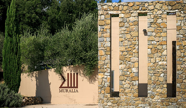 Manolibera 2019 Muralia