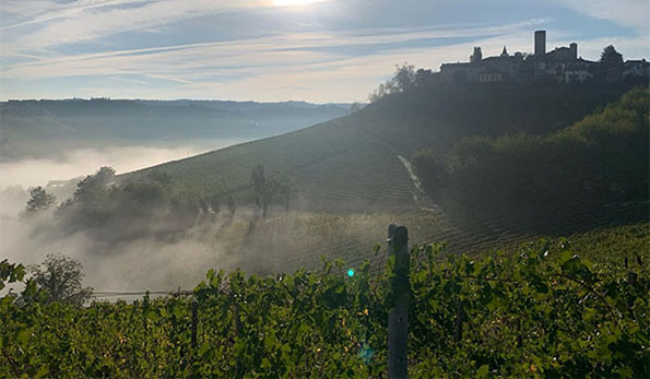 I vigneti che guardano a Castiglione Falletto