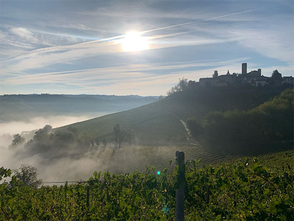 I vigneti che guardano a Castiglione Falletto