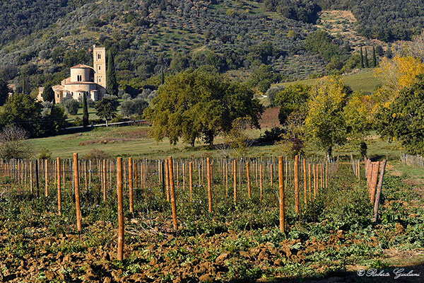 Abbazia di Sant'Antimo