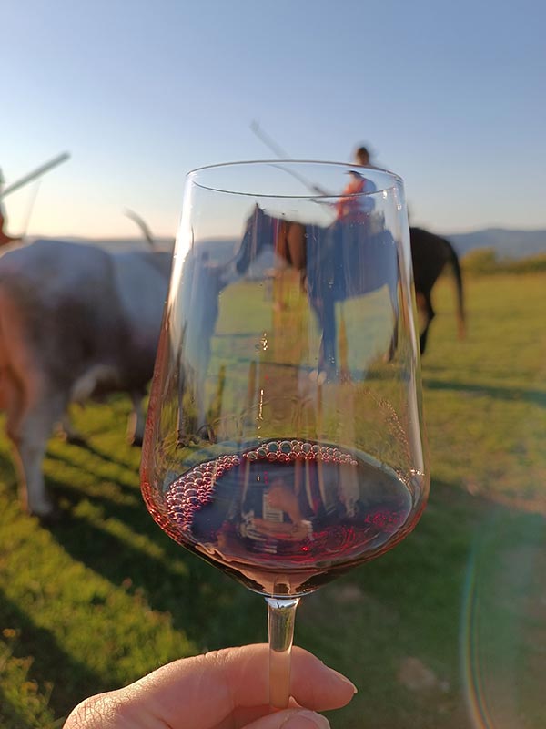 Butteri presso il sito archeologico etrusco di Ghiaccio Forte