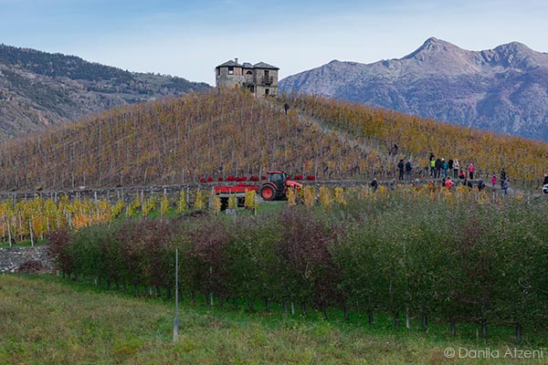 Colline di Aymavilles