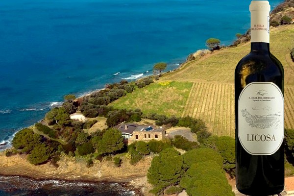 Cilento Fiano Licosa 2020 Il Colle del Corsicano