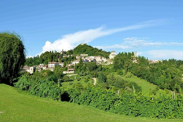 Cirotto Vini