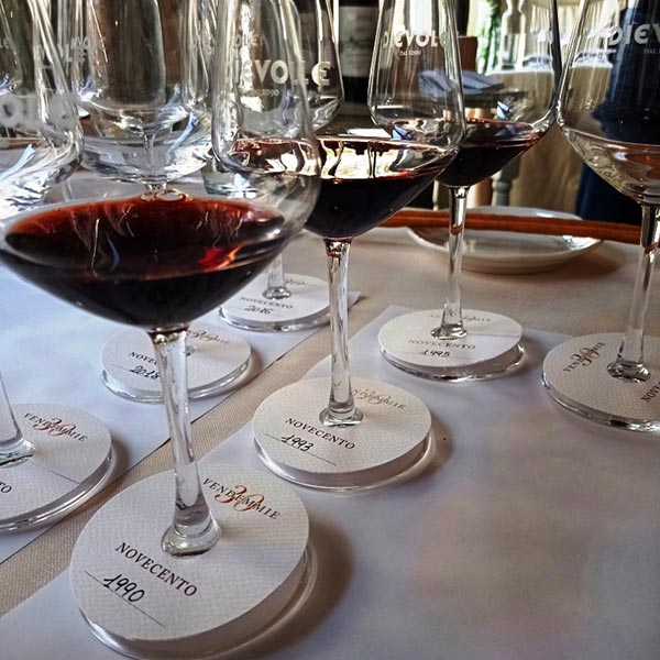 Verticale Novecento Dievole