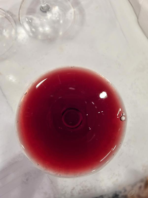 Negramaro Salento Jo 2012 Gianfranco Fino