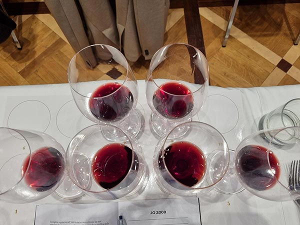 Negramaro Salento Jo 2012 Gianfranco Fino