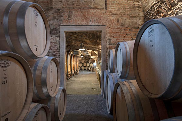 Azienda agricola Marchesi Alfieri, cantina