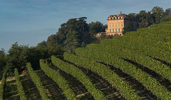 Azienda agricola Merotto