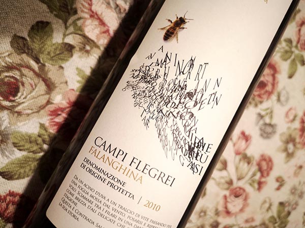 Campi Flegrei Falanghina 2010 Contrada Salandra