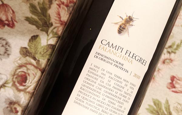 Falanghina dei Campi Flegrei 2010 Contrada Salandra