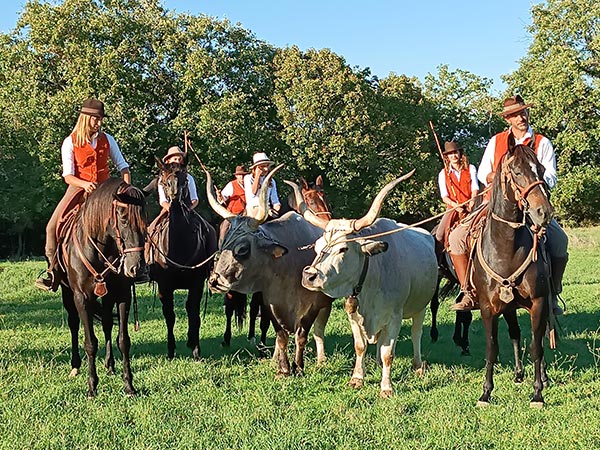 Butteri presso il sito archeologico etrusco di Ghiaccio Forte