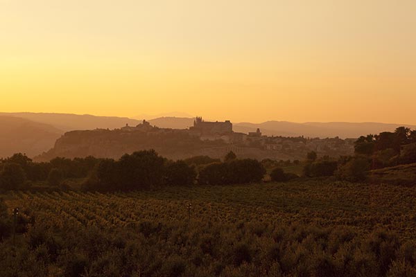Orvieto e il Duomo visti dalle vigne di Le Velette