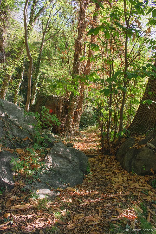 La natura incontaminata di Settimo Vittone
