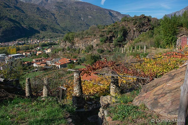 Panorama delle topie