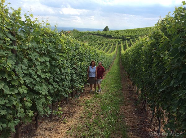 Simonetta Boschetti e Fabrizio Ghebbano fra le vigne