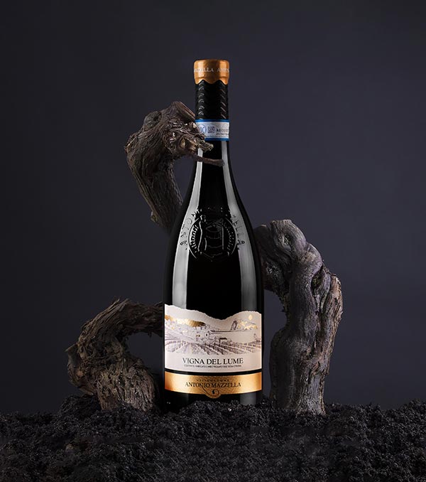 Vigna del Lume 2021 Antonio Mazzella