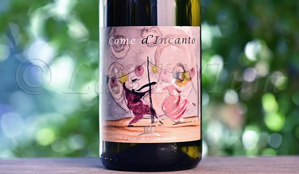 Come d’Incanto (2021) Cantine Carpentiere