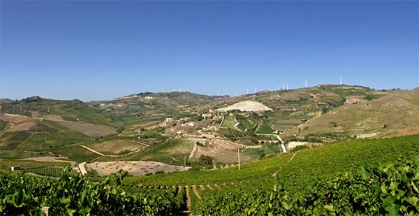 Panorama sulla Valle del Belìce e vigneti Leonarda Tardi