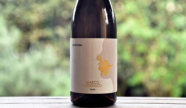 Marco Ludovico Trebbiano Amforéas 2021 Masseria Ludovico
