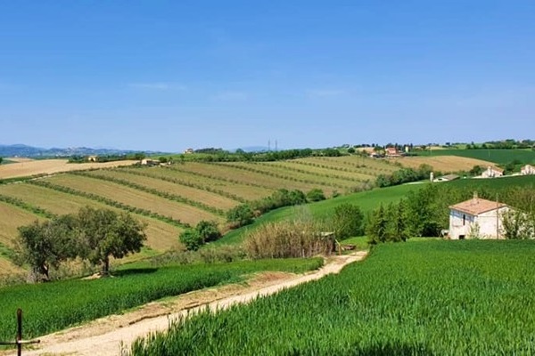 Montecappone