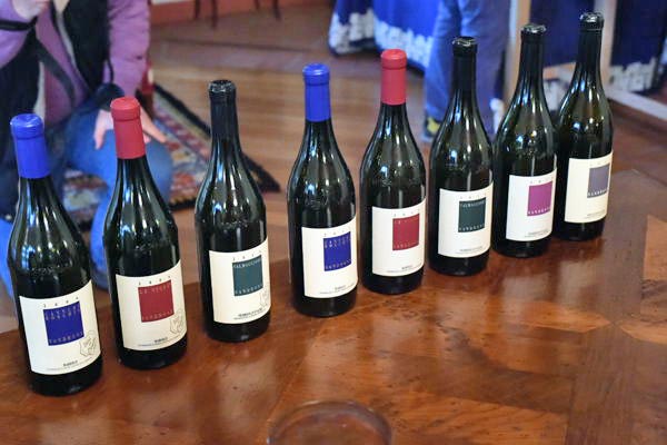 Luciano Sandrone vini