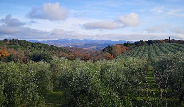 Terra di Seta paesaggio