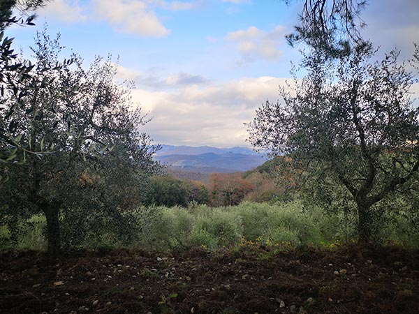 Terra di Seta panorama
