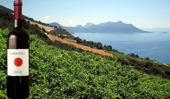 Dingač 2016 Vedran Kiridžija