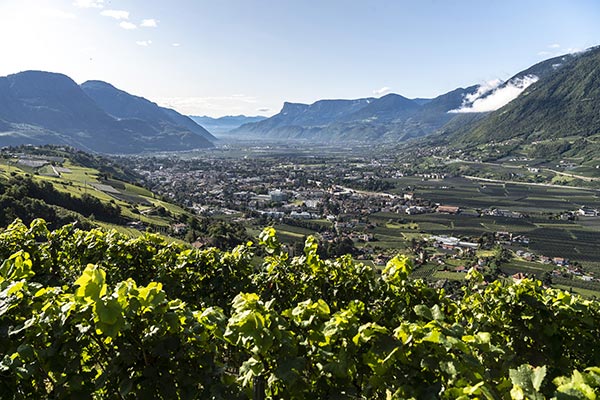 Panorama sui vigneti. Foto Helmuth Rier