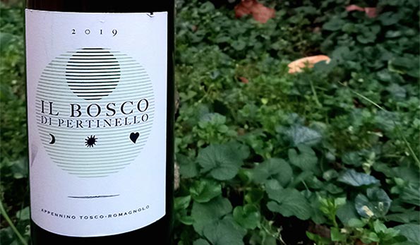 Romagna Sangiovese Il Bosco di Pertinello 2019 Tenuta Pertinello