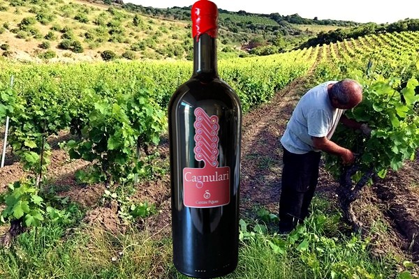Cagnulari Isola dei Nuraghi IGT 2020 delle Cantine Pisoni