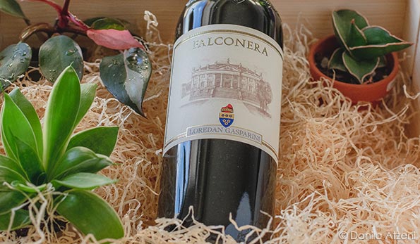Montello Asolo Merlot Falconera 2018 Loredan Gasparini