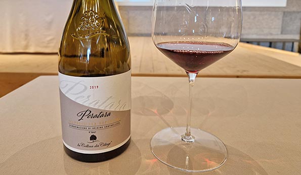 Valpolicella Superiore Peratara 2019 La Collina dei Ciliegi