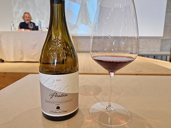 Valpolicella Superiore Peratara 2019 La Collina dei Ciliegi