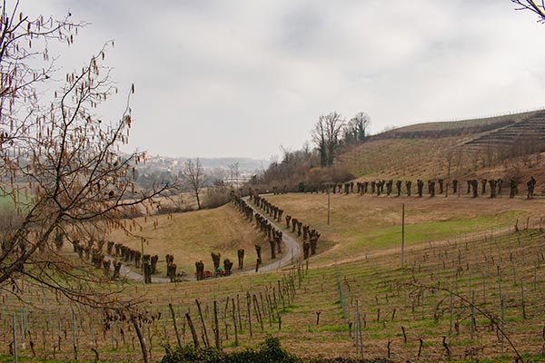 Sullo sfondo Albugnano