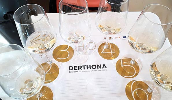 Degustazione Timorasso