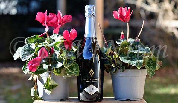 Franciacorta Novalia Brut Villa Crespia