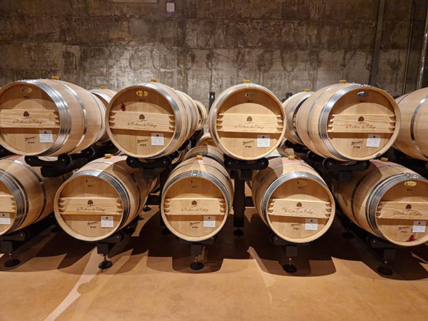 La Collina dei Ciliegi, cantina