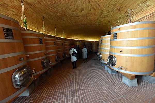 Podere Le Ripi, la cantina