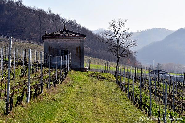 Vigneti Cantine Volpi