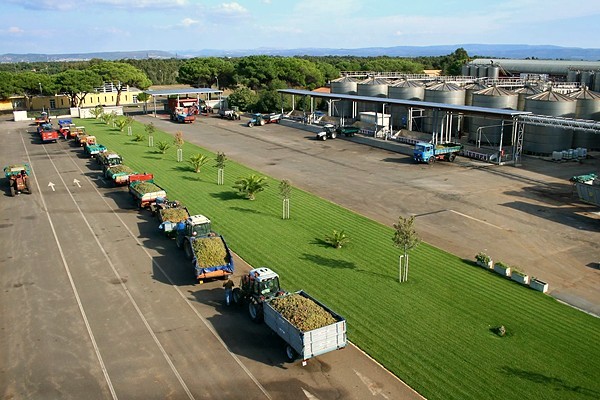 Cantina Santa Maria La Palma