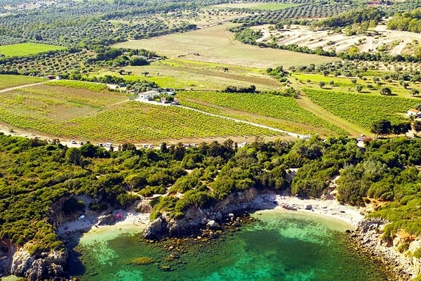 Cantina Santa Maria La Palma