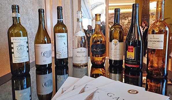 La verticale del Gavi