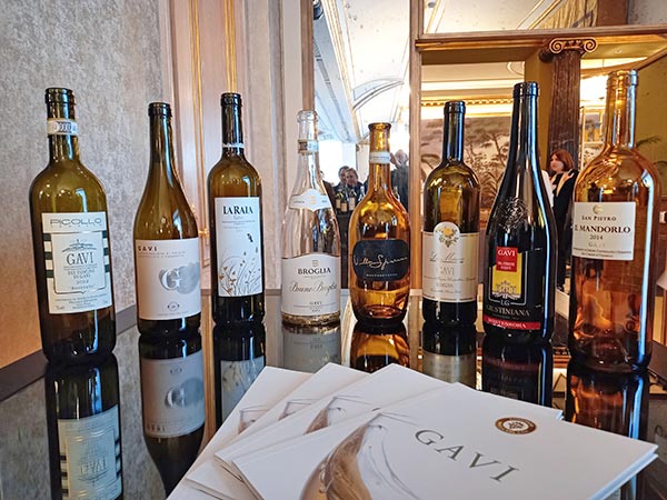 La verticale del Gavi