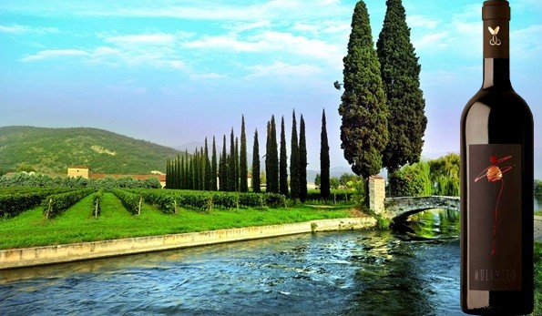 Mulinëro Collezione Privata 2018 Malavasi